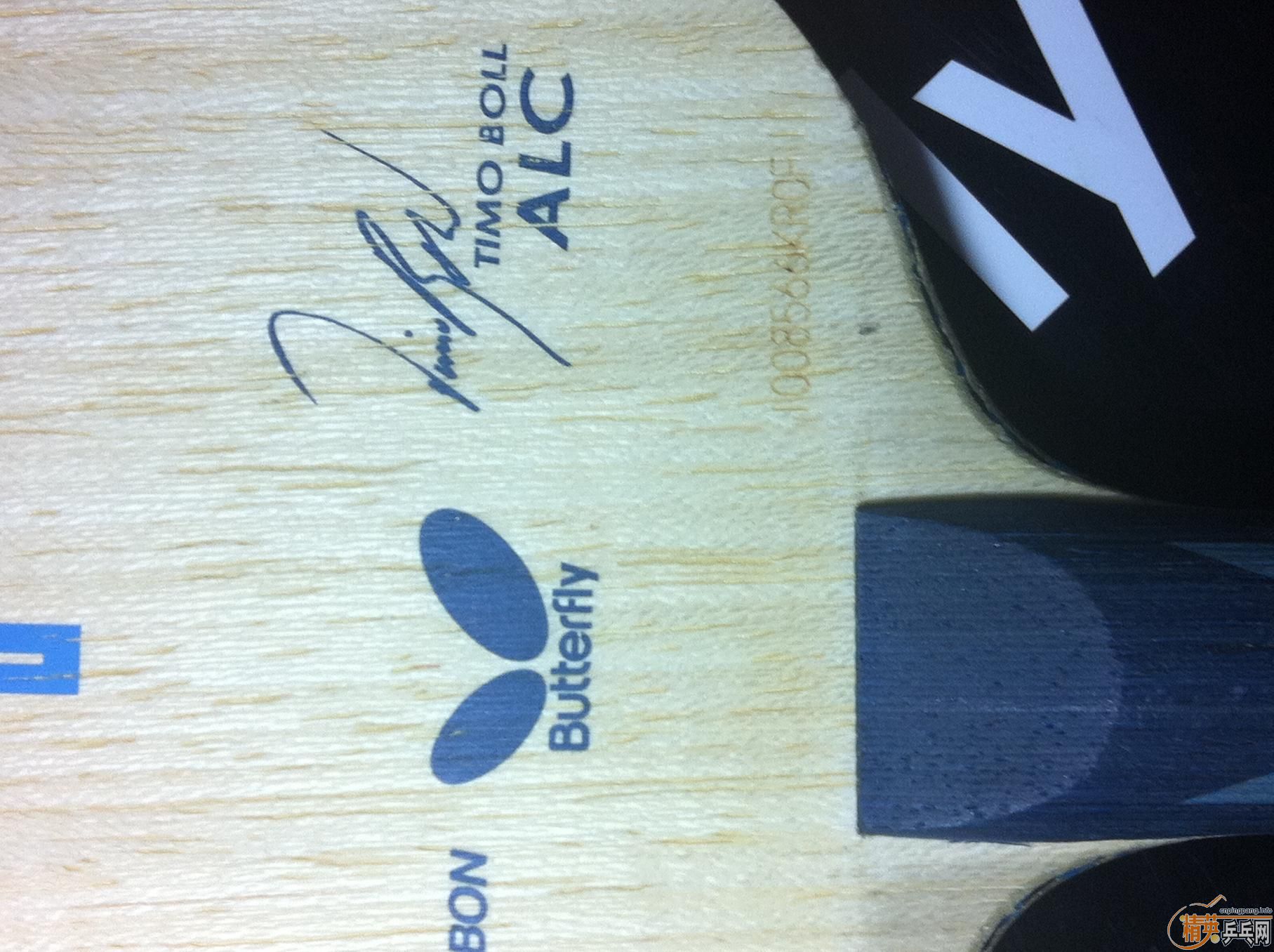 [ԭ��]֧������ ���� ALC FL�� 520���ʣ� ����~~