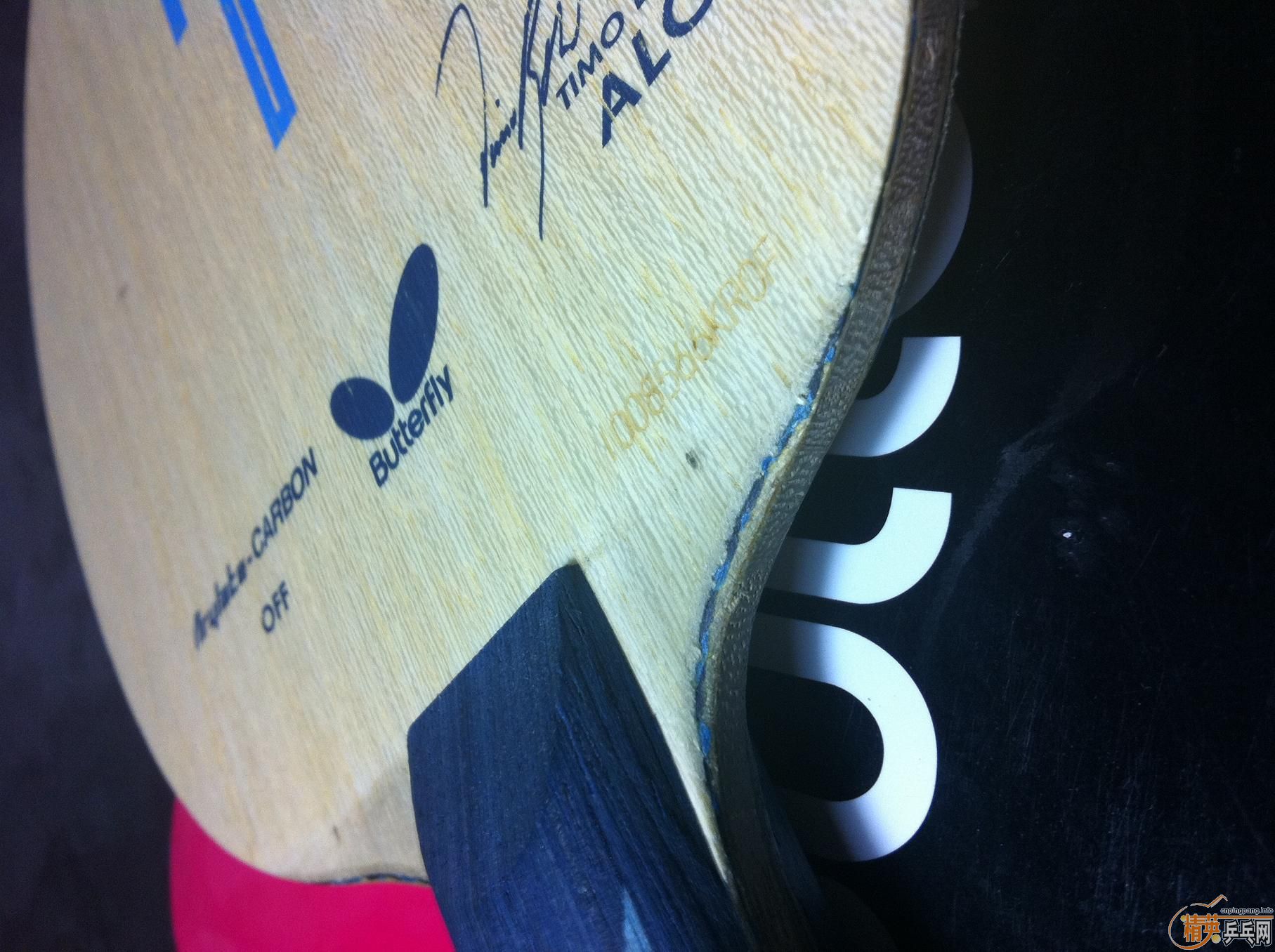 [ԭ��]֧������ ���� ALC FL�� 520���ʣ� ����~~