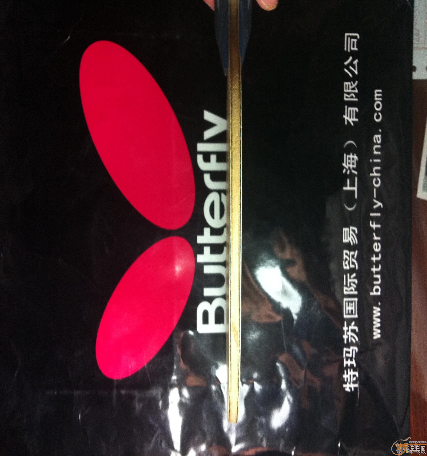 [ԭ��]֧������ ���� ALC FL�� 520���ʣ� ����~~