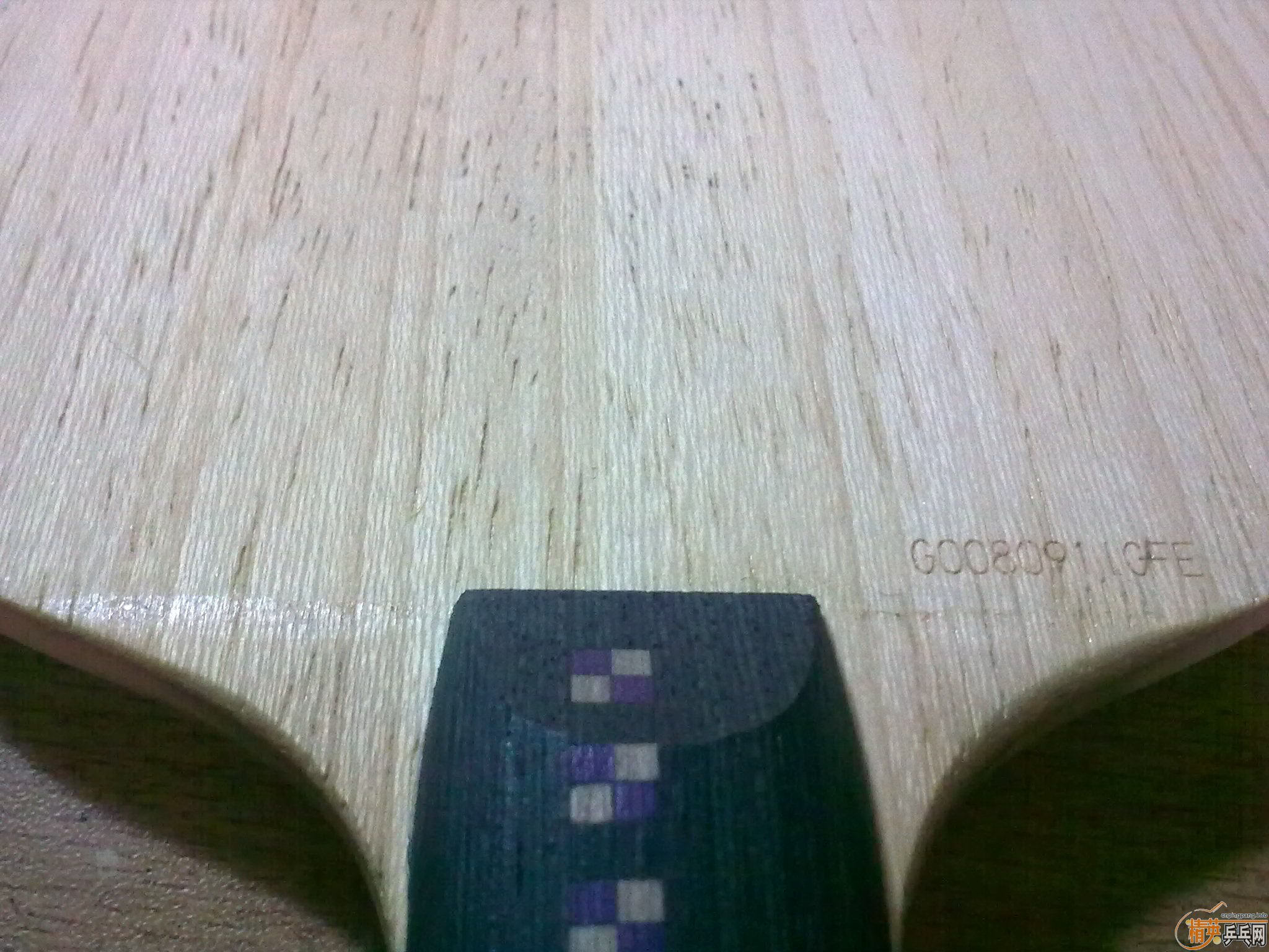 300��9��������FL������