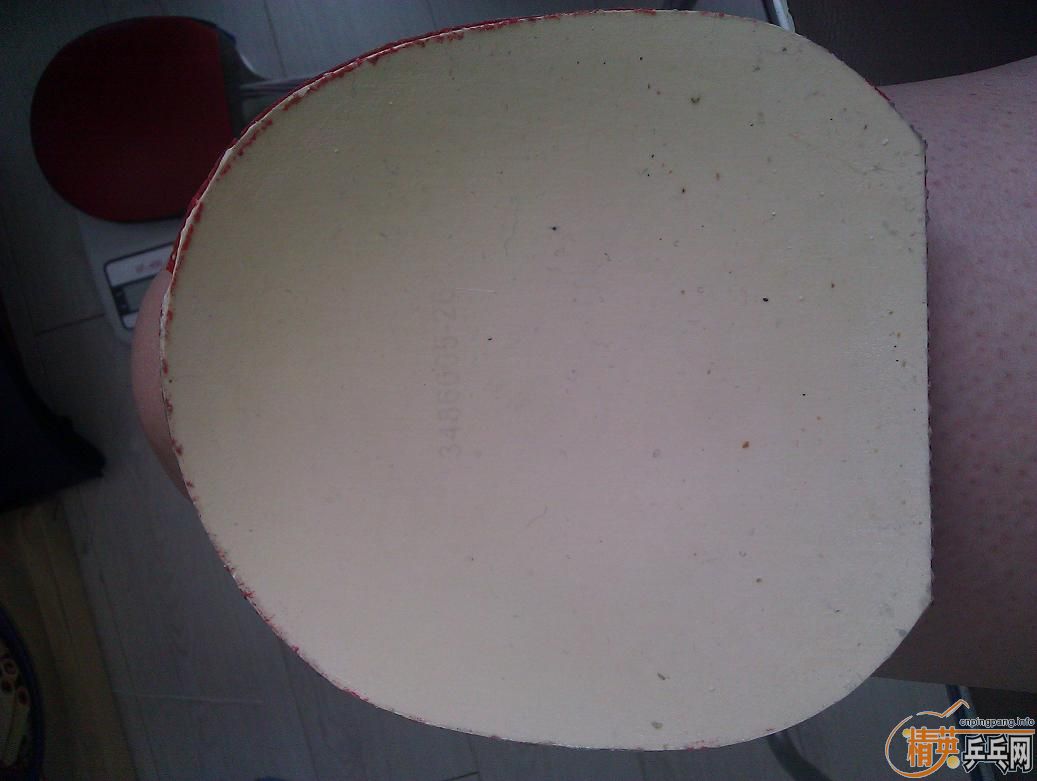 ������JO����ɫ��ֱ��YEO������