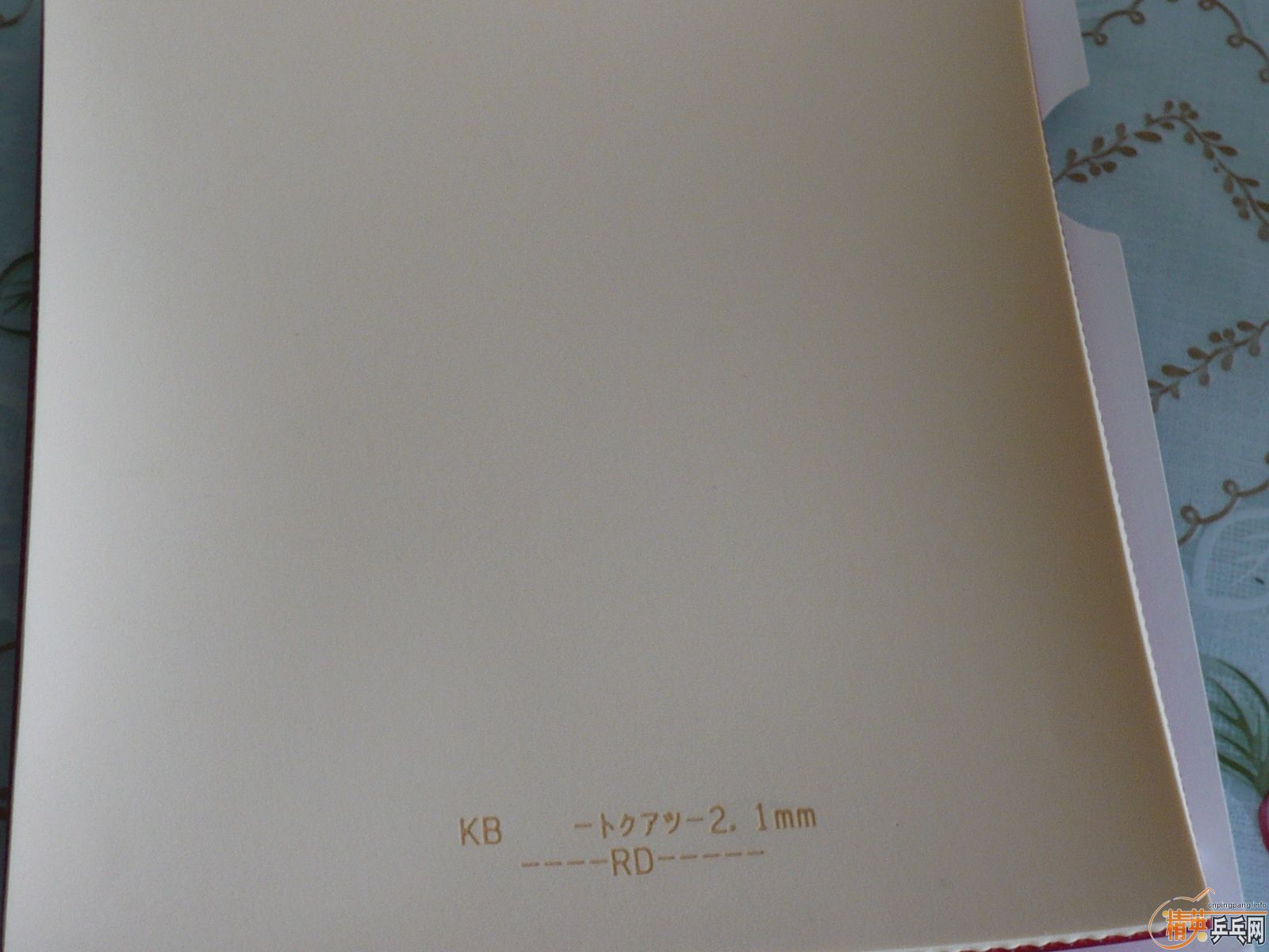 ��������׽���α����