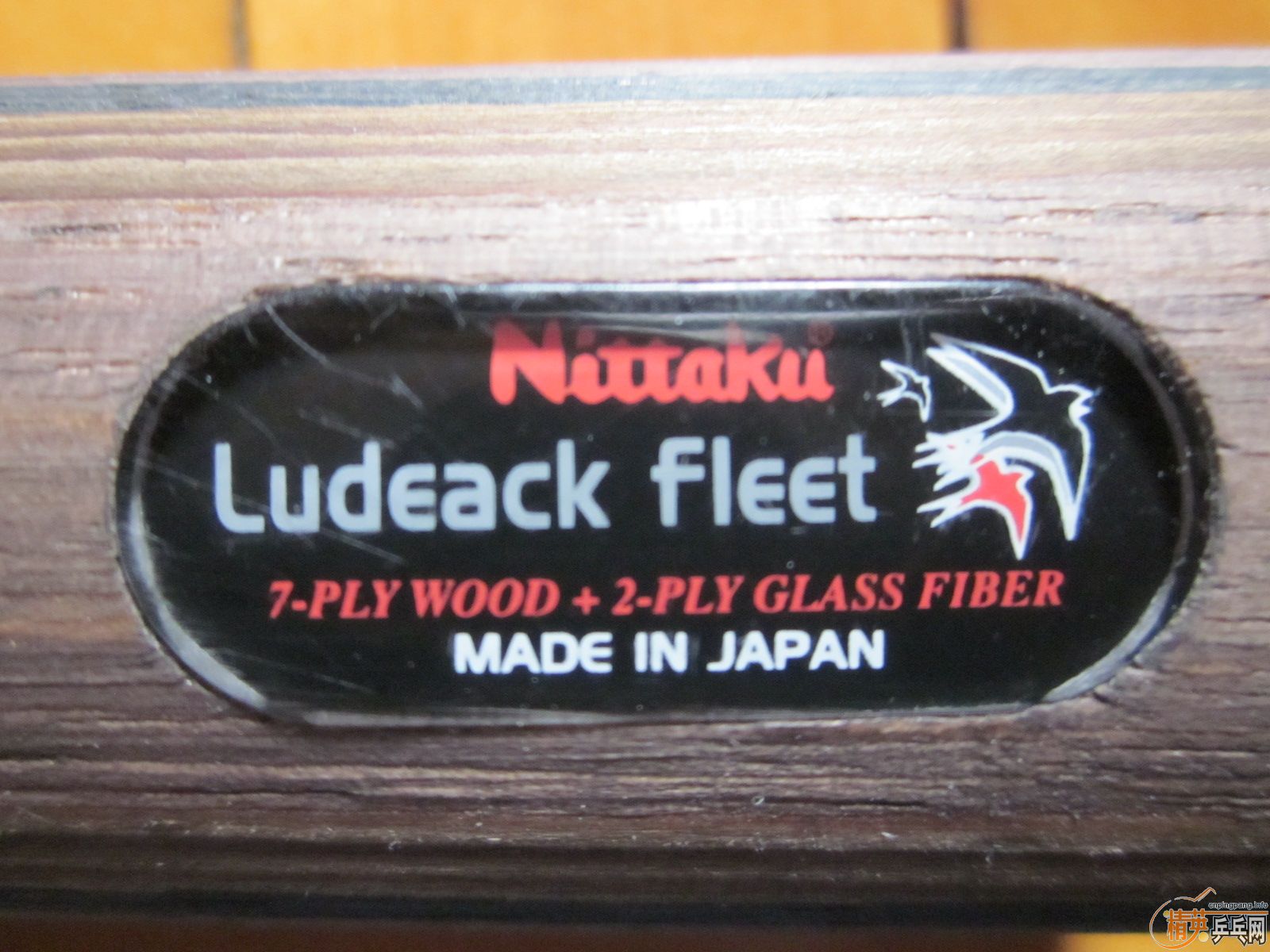 �����ѳ�һֻ��nittaku�Ĳ�����