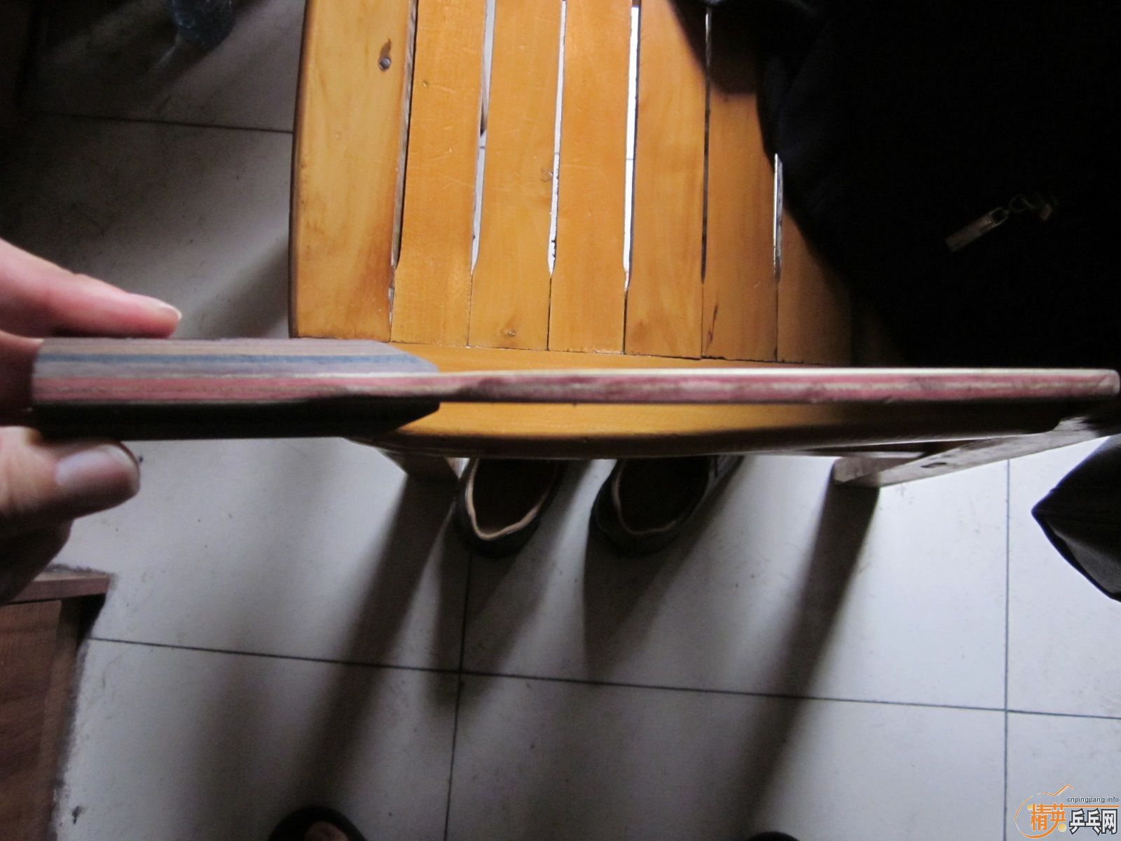 �����ѳ�һֻ��nittaku�Ĳ�����