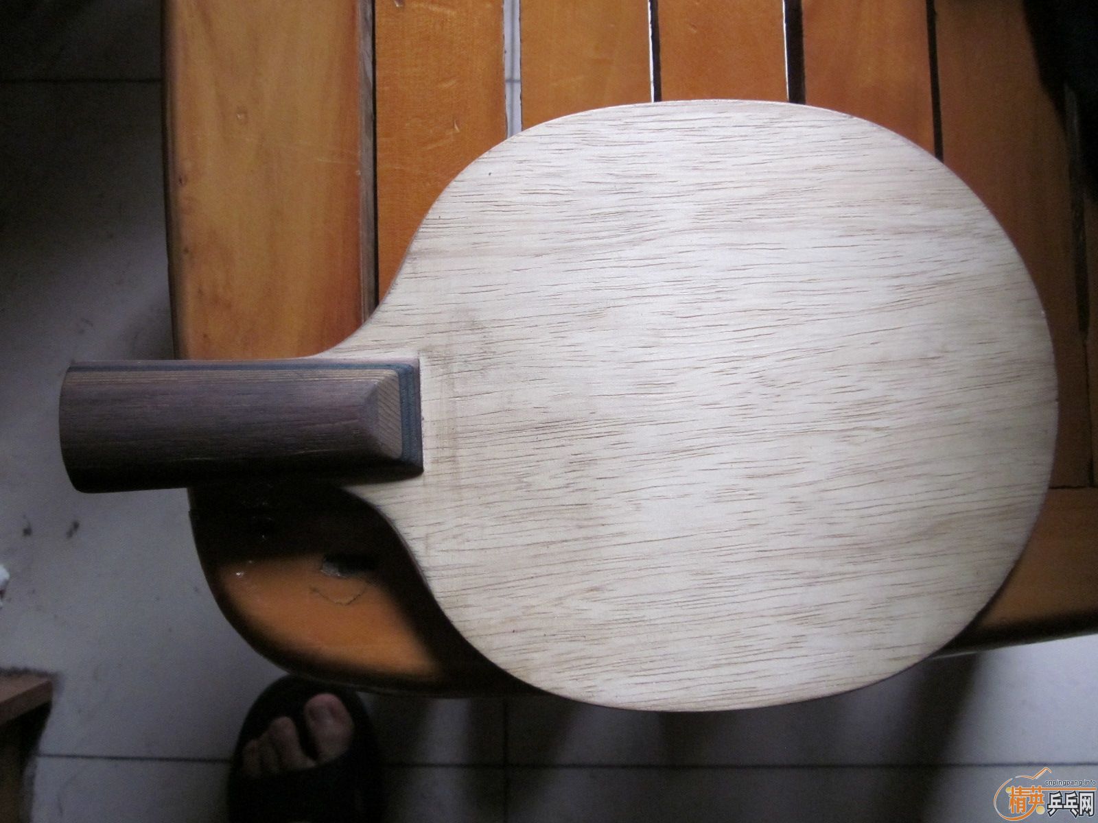 �����ѳ�һֻ��nittaku�Ĳ�����