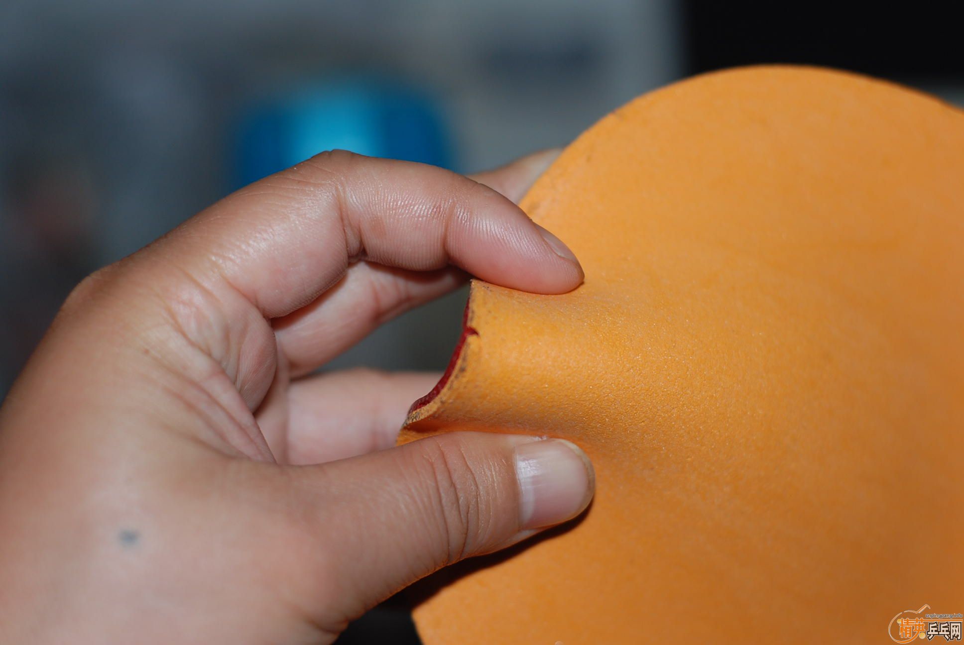 �����տ�1��BA����֧�������ף�