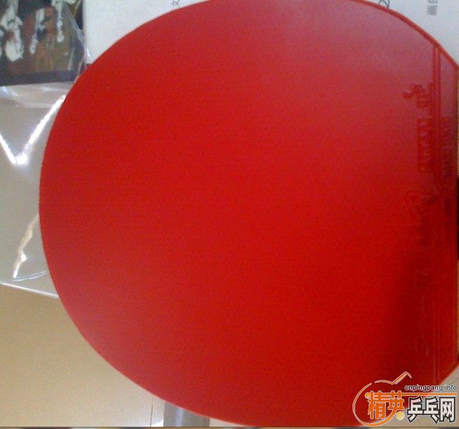 9.5�º�ɫel�������