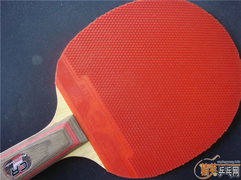 ŷ��CLһֻ������ɽկ��