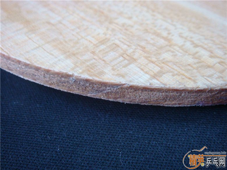 ���ϵ�np500һֻ��