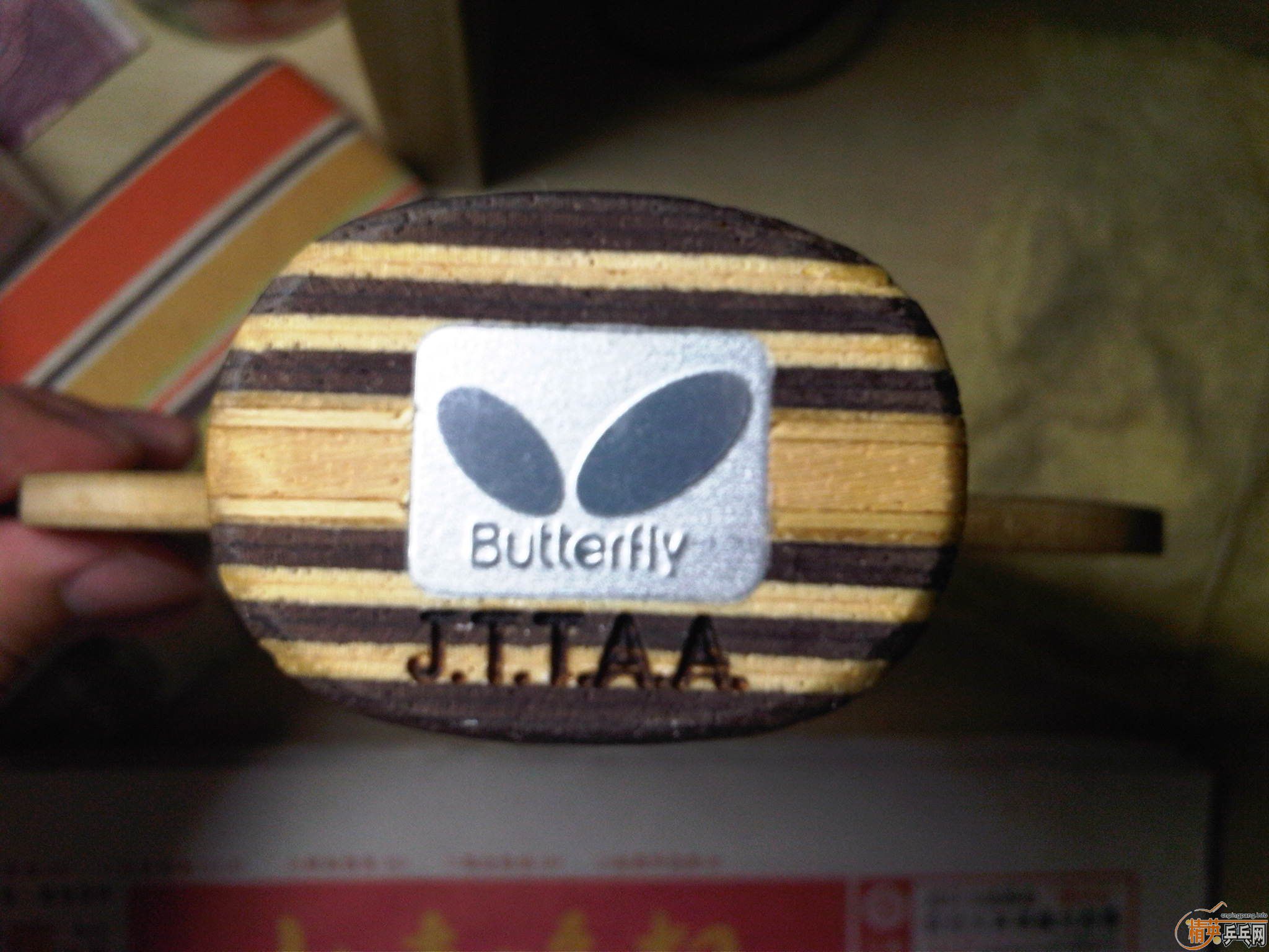 ���� 95�µ� butterfly �Ʊ��� ֱ�� �л� �۸�����