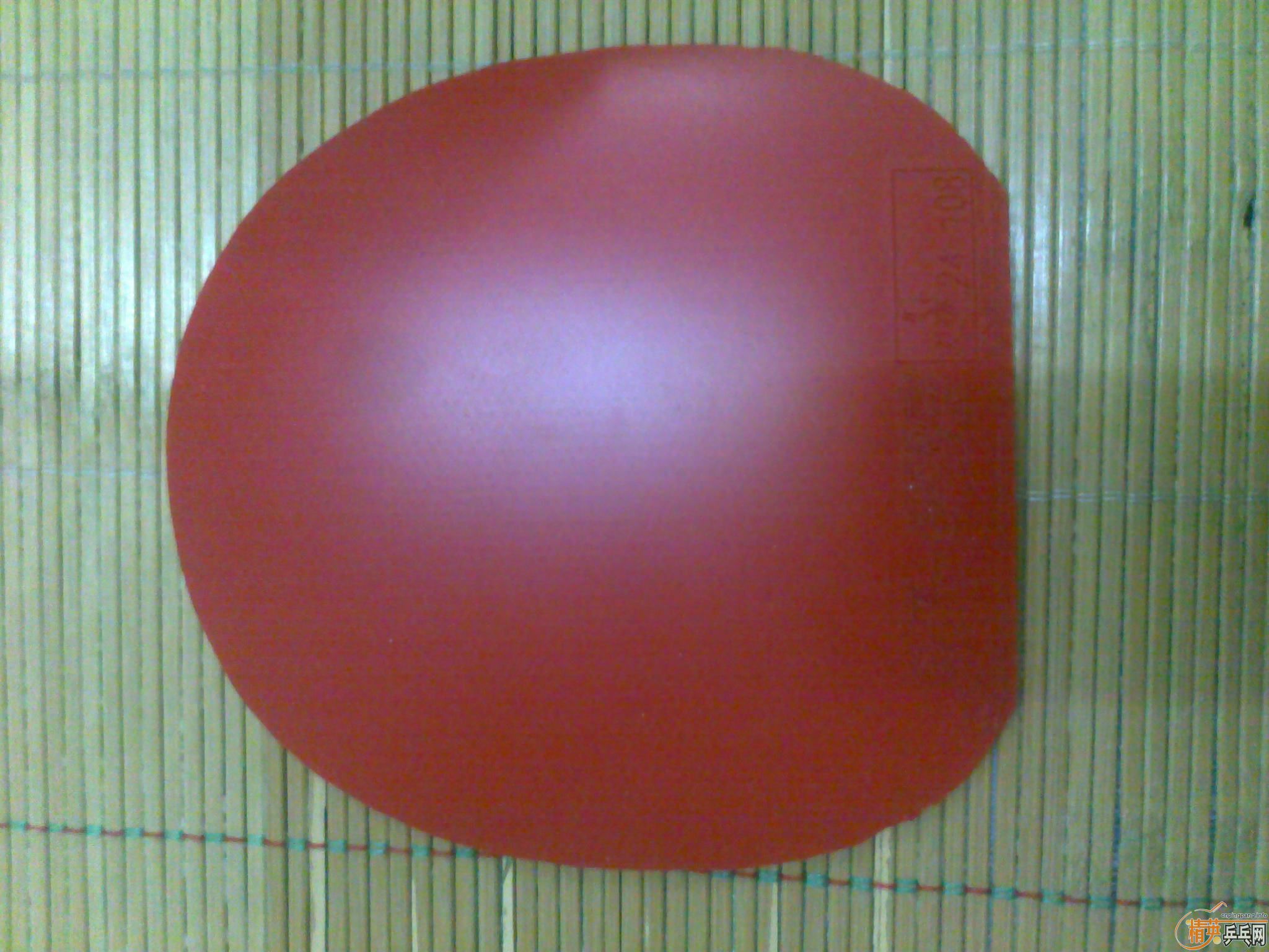 ���º�С���NEOʡ��ײ˼۳���~