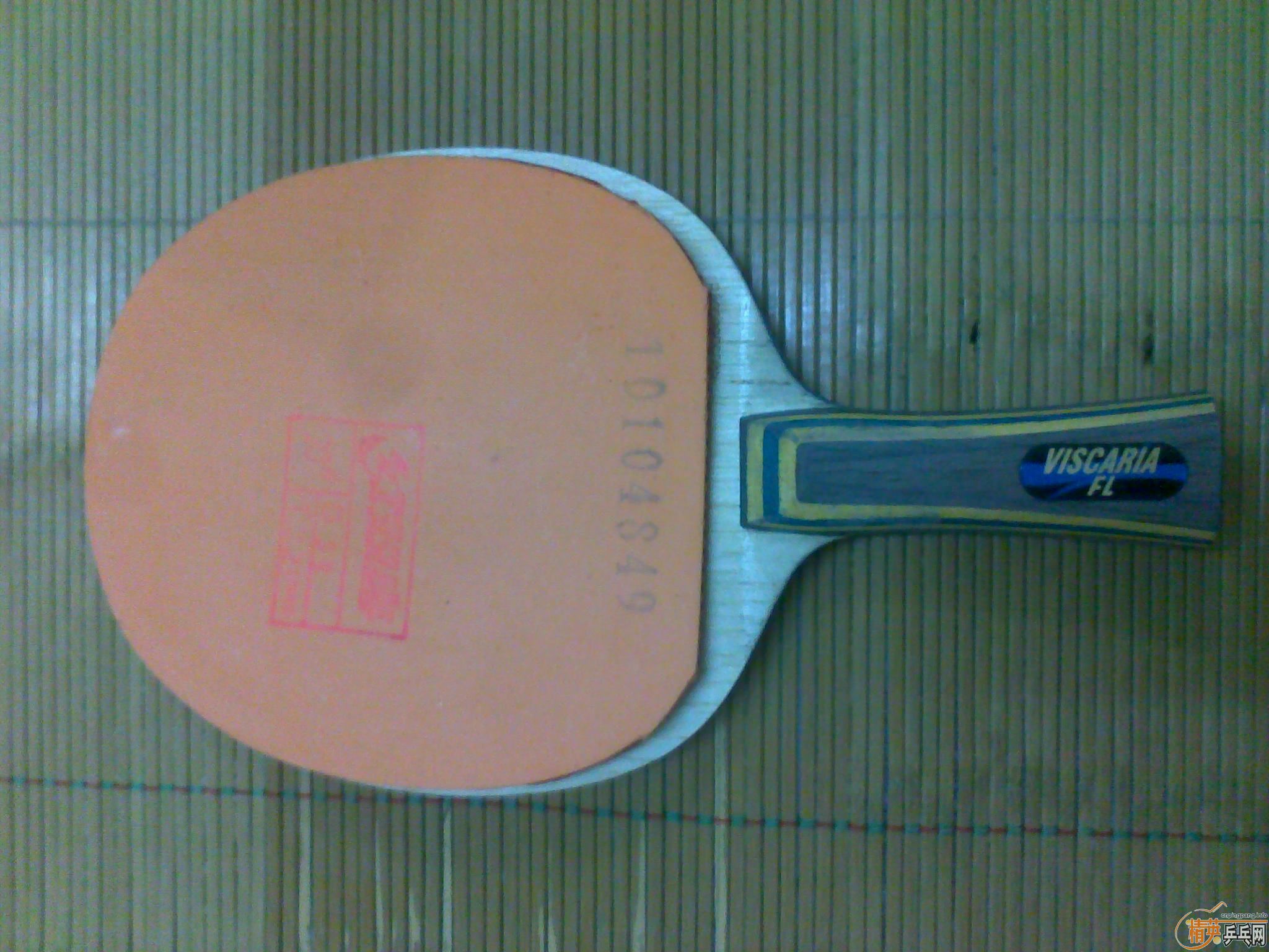 ���º�С���NEOʡ��ײ˼۳���~