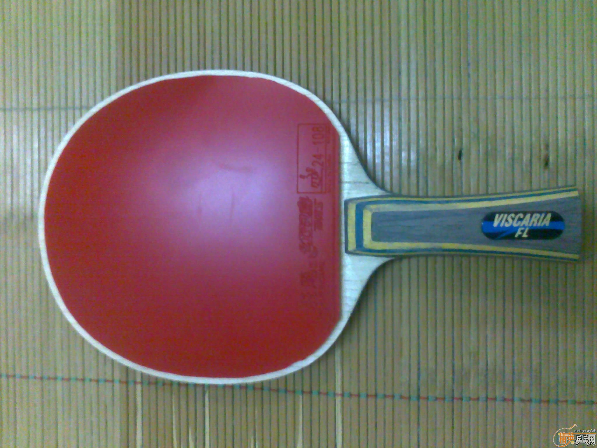 ���º�С���NEOʡ��ײ˼۳���~