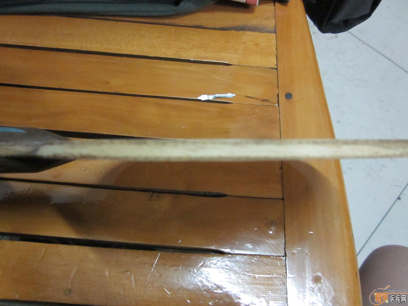 ��һֻ�����