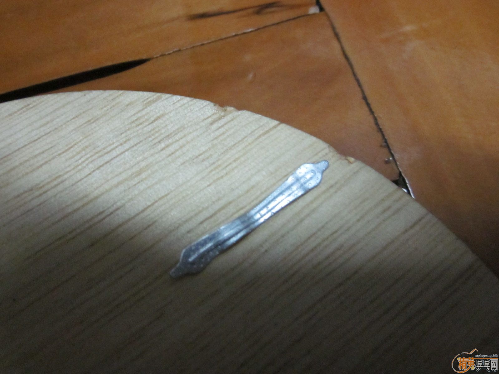 ��һֻ�����