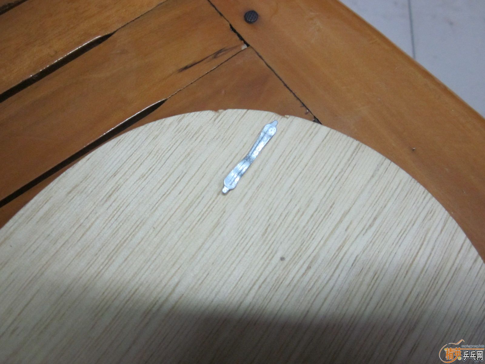 ��һֻ�����