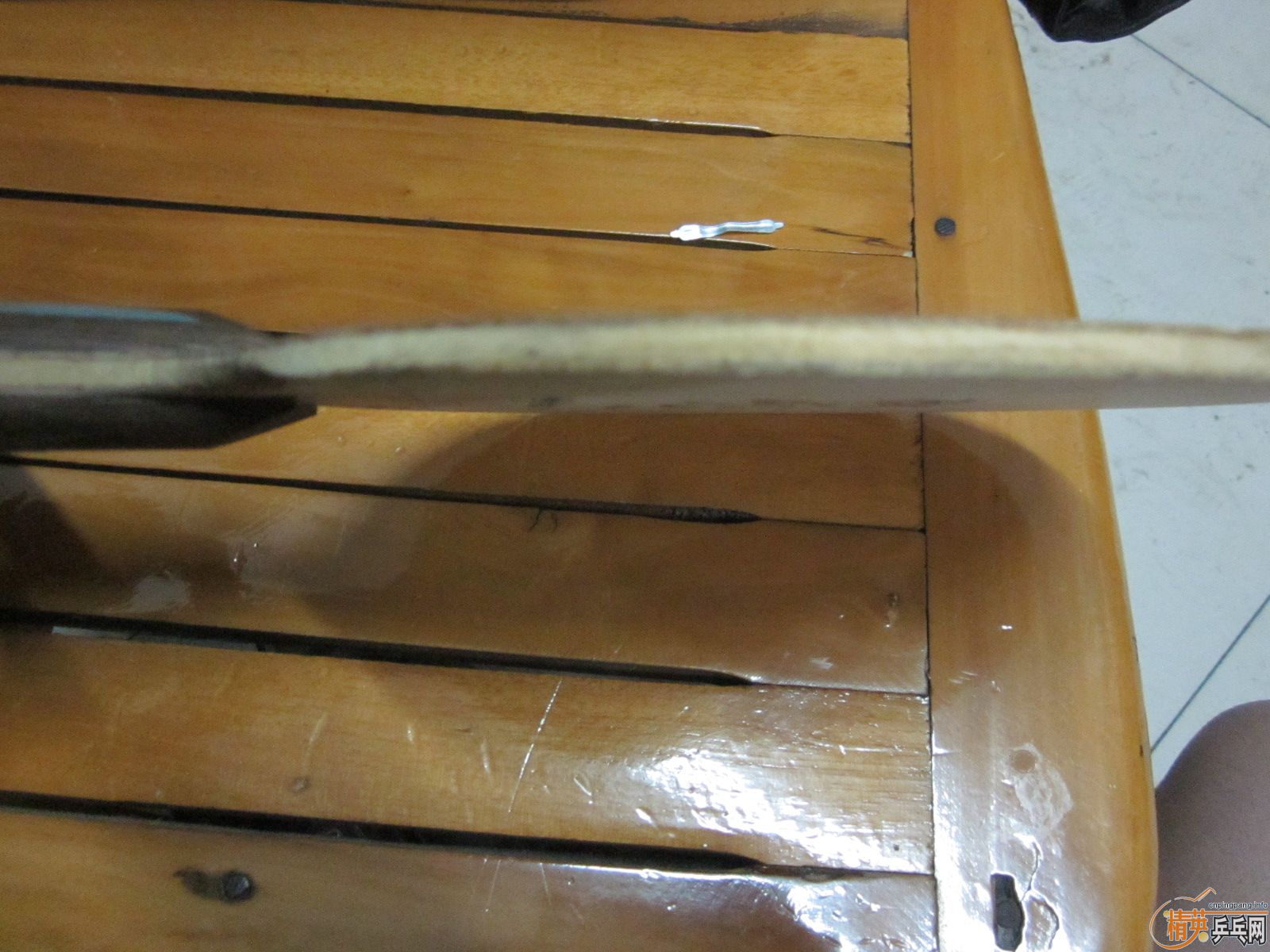 ��һֻ�����