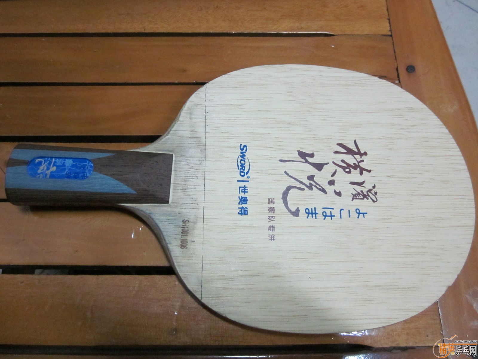 ��һֻ�����