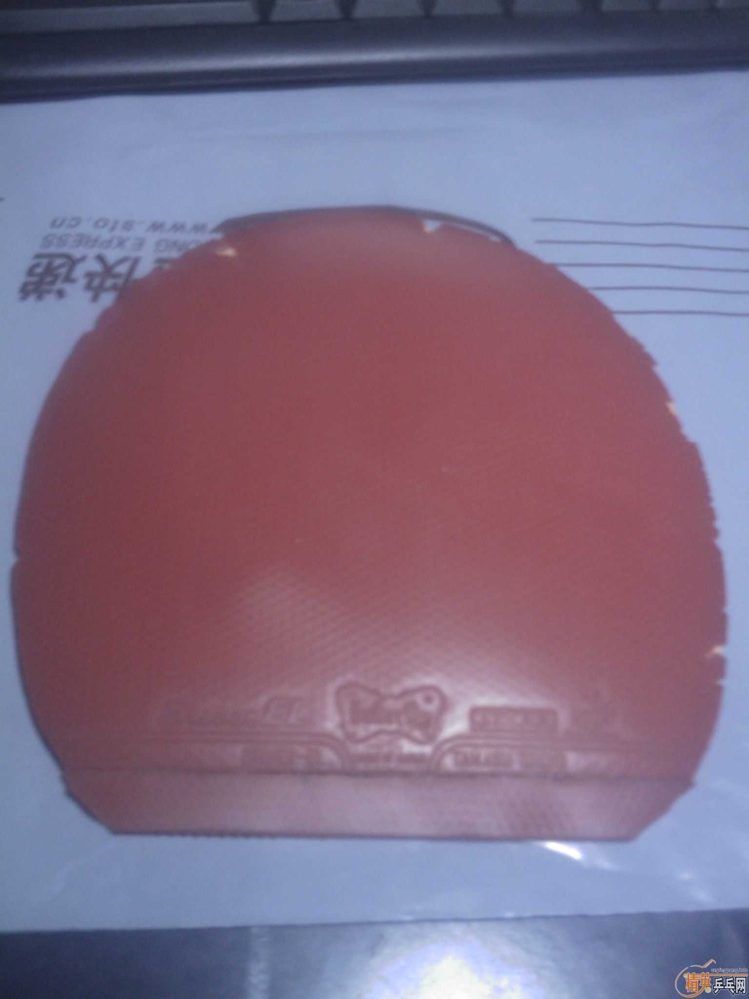 һЩ���� ��һ�� ���� JOOLA k5