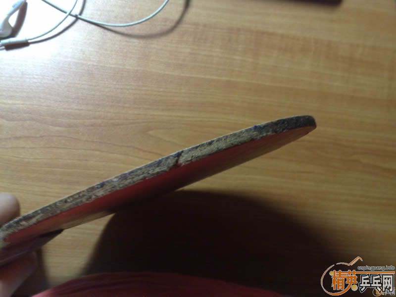 ���۶�����ɫ����������555�װ�   180Ԫ����