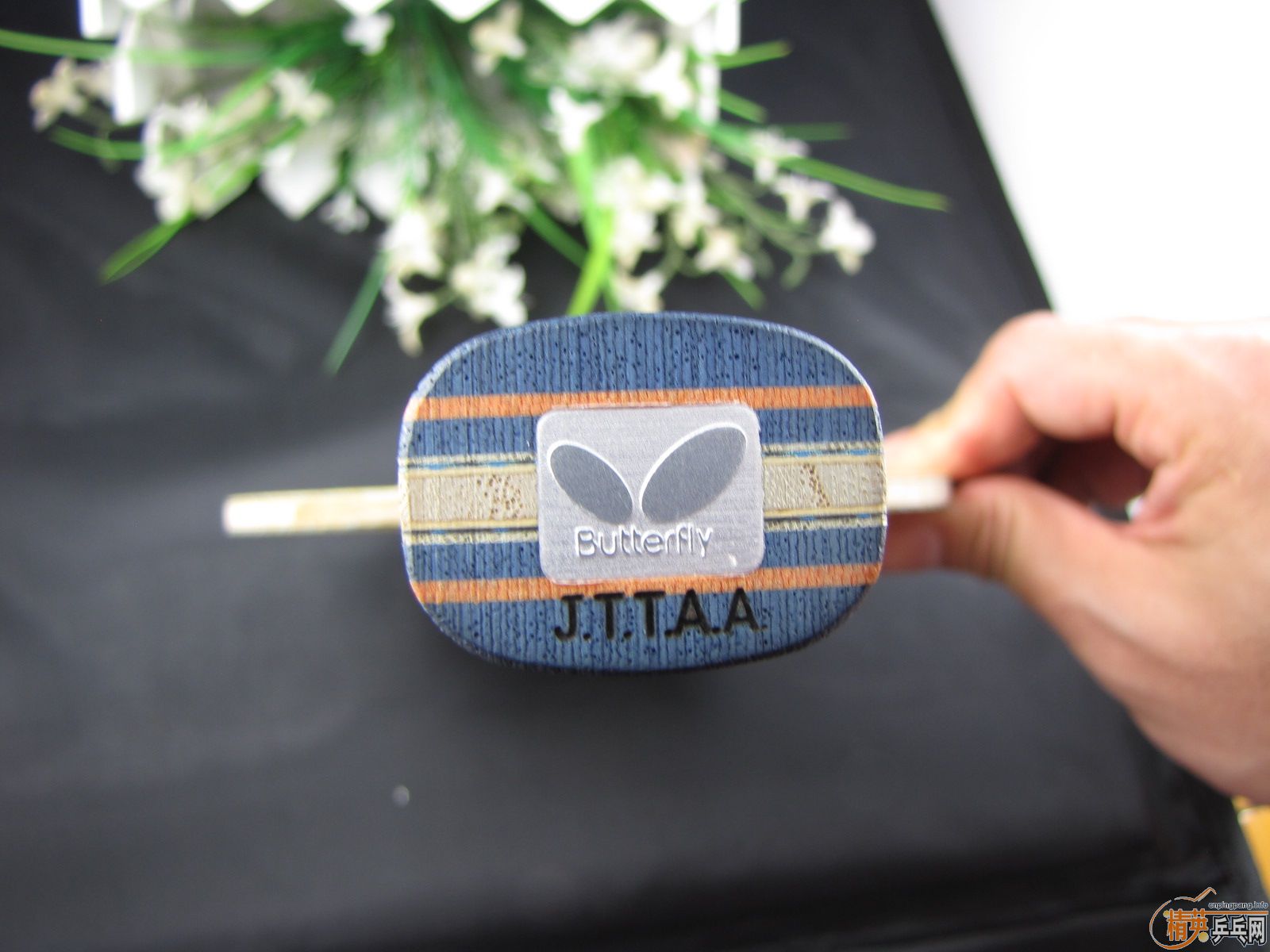 ������J��ͷST_TBS+FL_TBS+LEGEND_CL+NEO�켫3���3����3