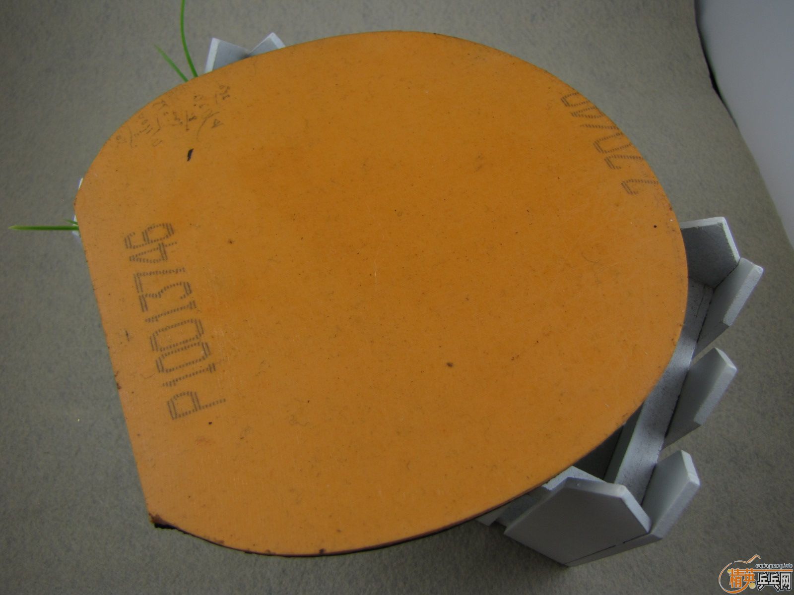 ������J��ͷST_TBS+FL_TBS+LEGEND_CL+NEO�켫3���3����3