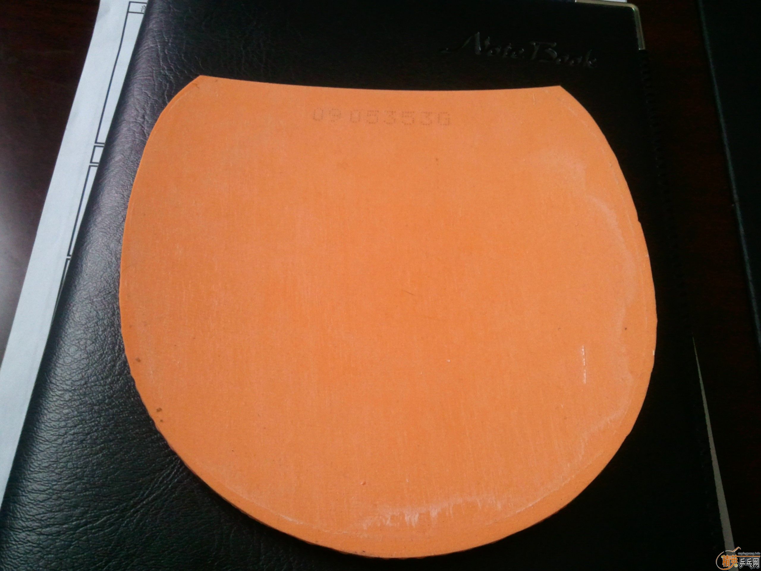 ���˳���ɫֱ���׽��켫2