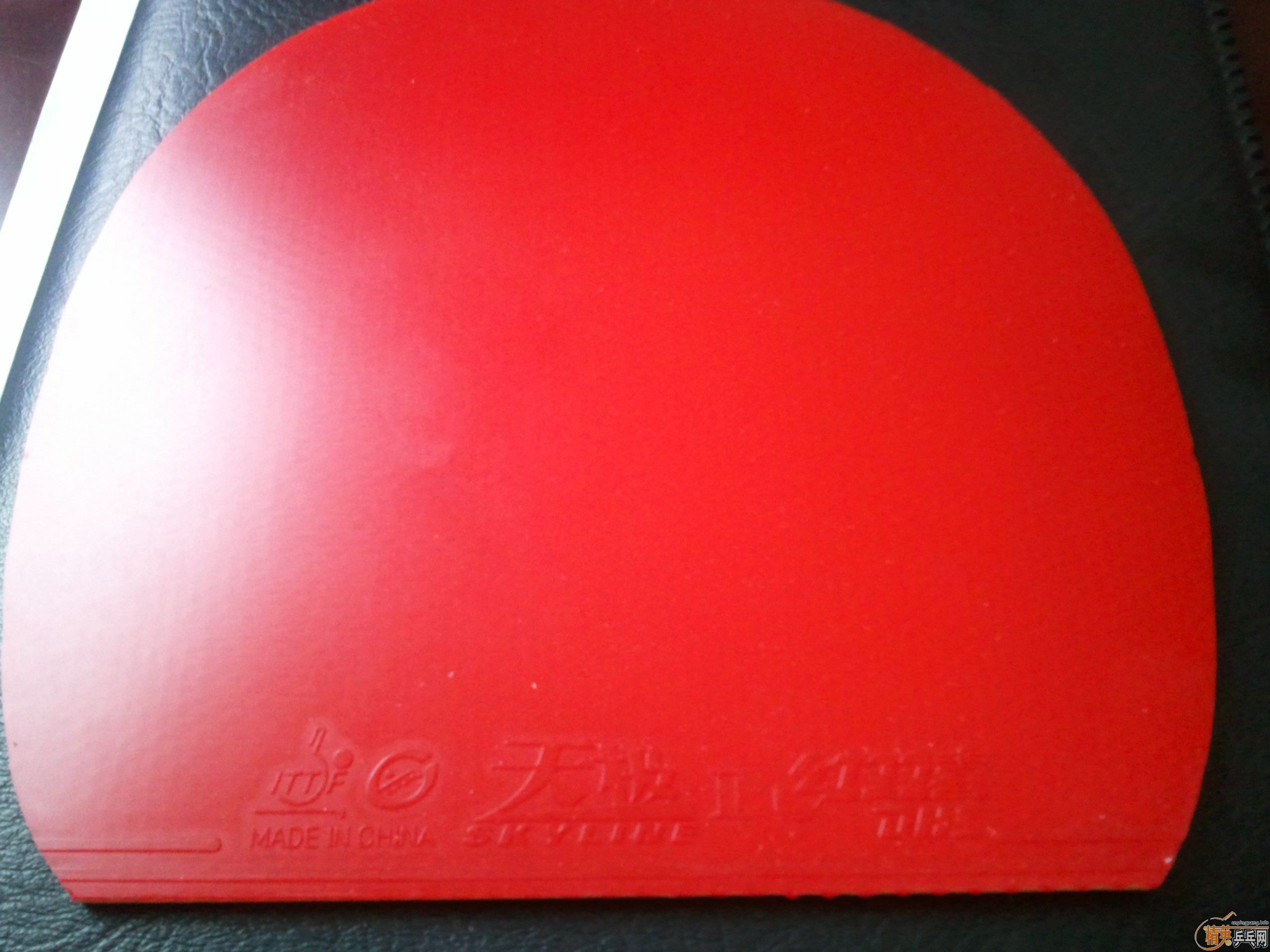 ���˳���ɫֱ���׽��켫2