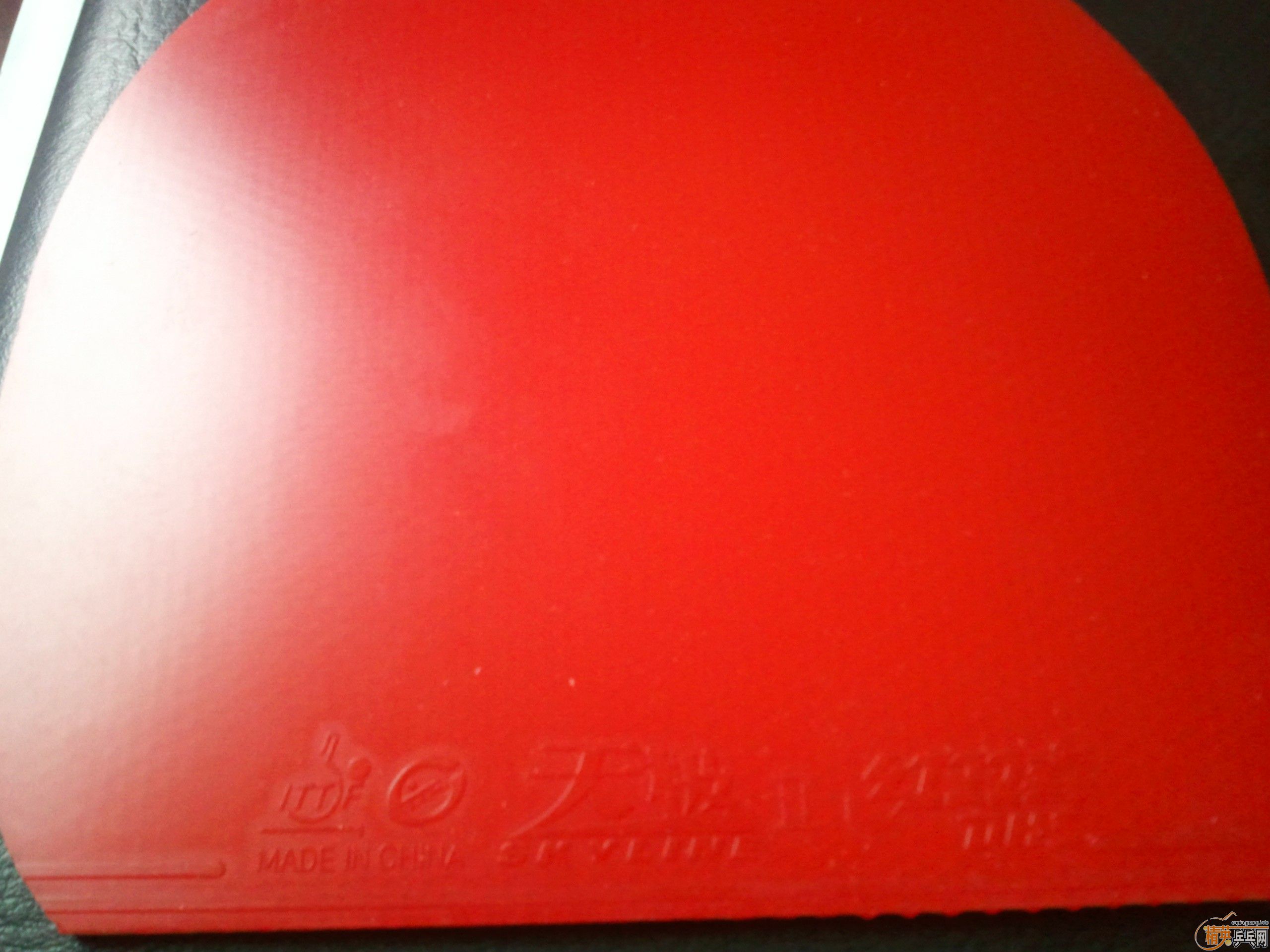 ���˳���ɫֱ���׽��켫2