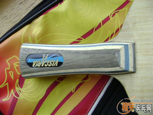 ��һ��FL��VIS ��������� �����ܵص�