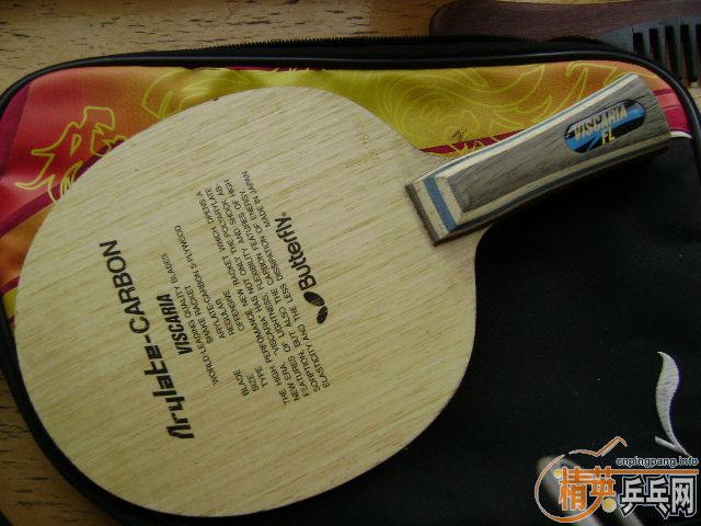 ��һ��FL��VIS ��������� �����ܵص�