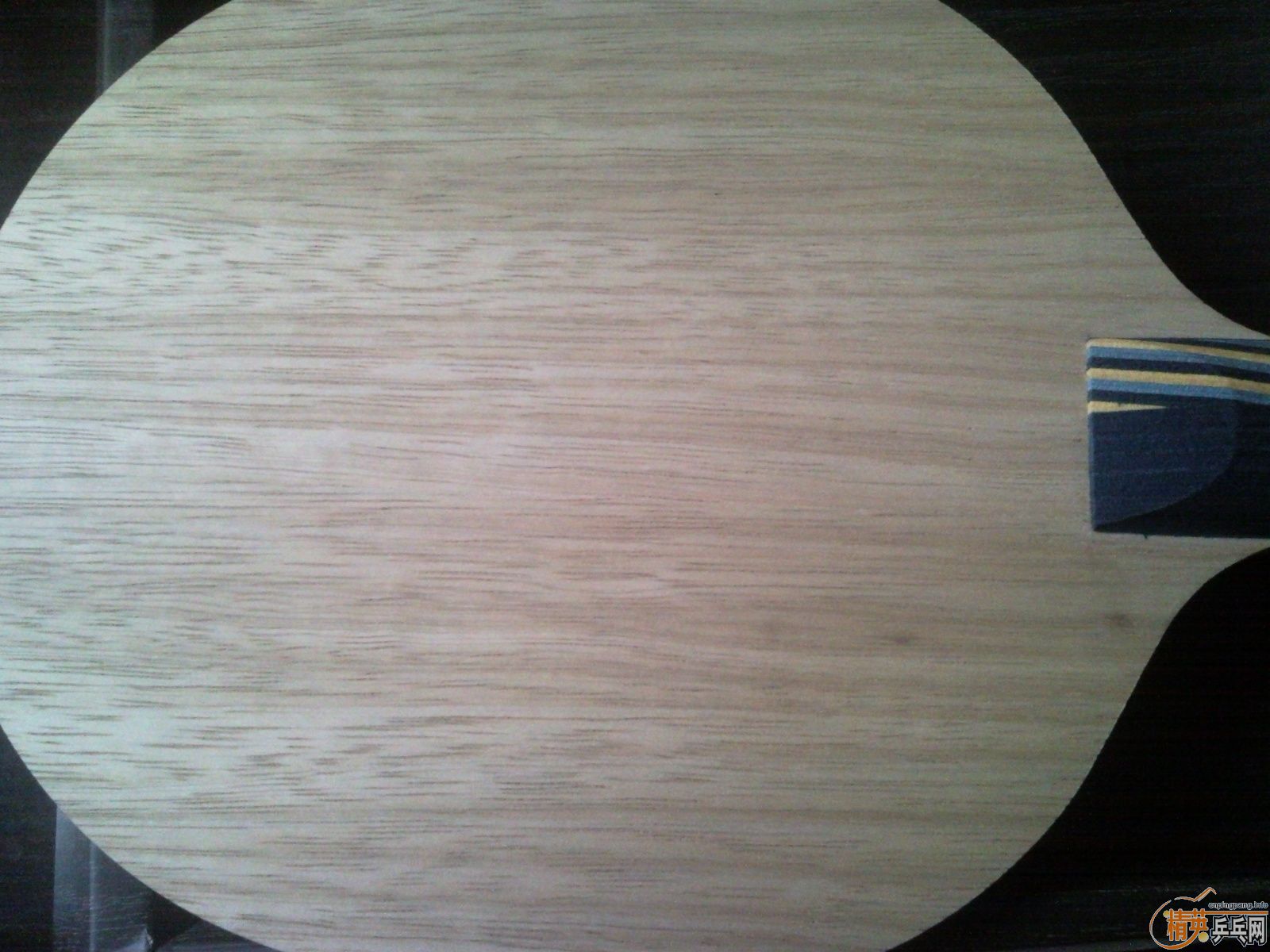 ���л�˹�ٿ�EG