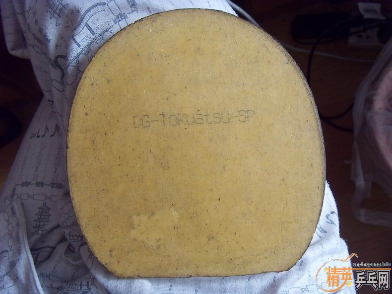 ������+SP+FXһ���