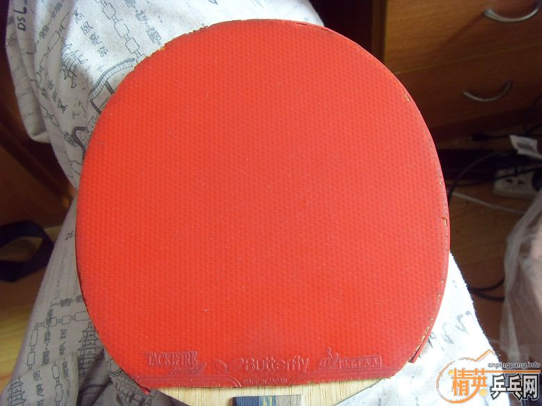 ������+SP+FXһ���