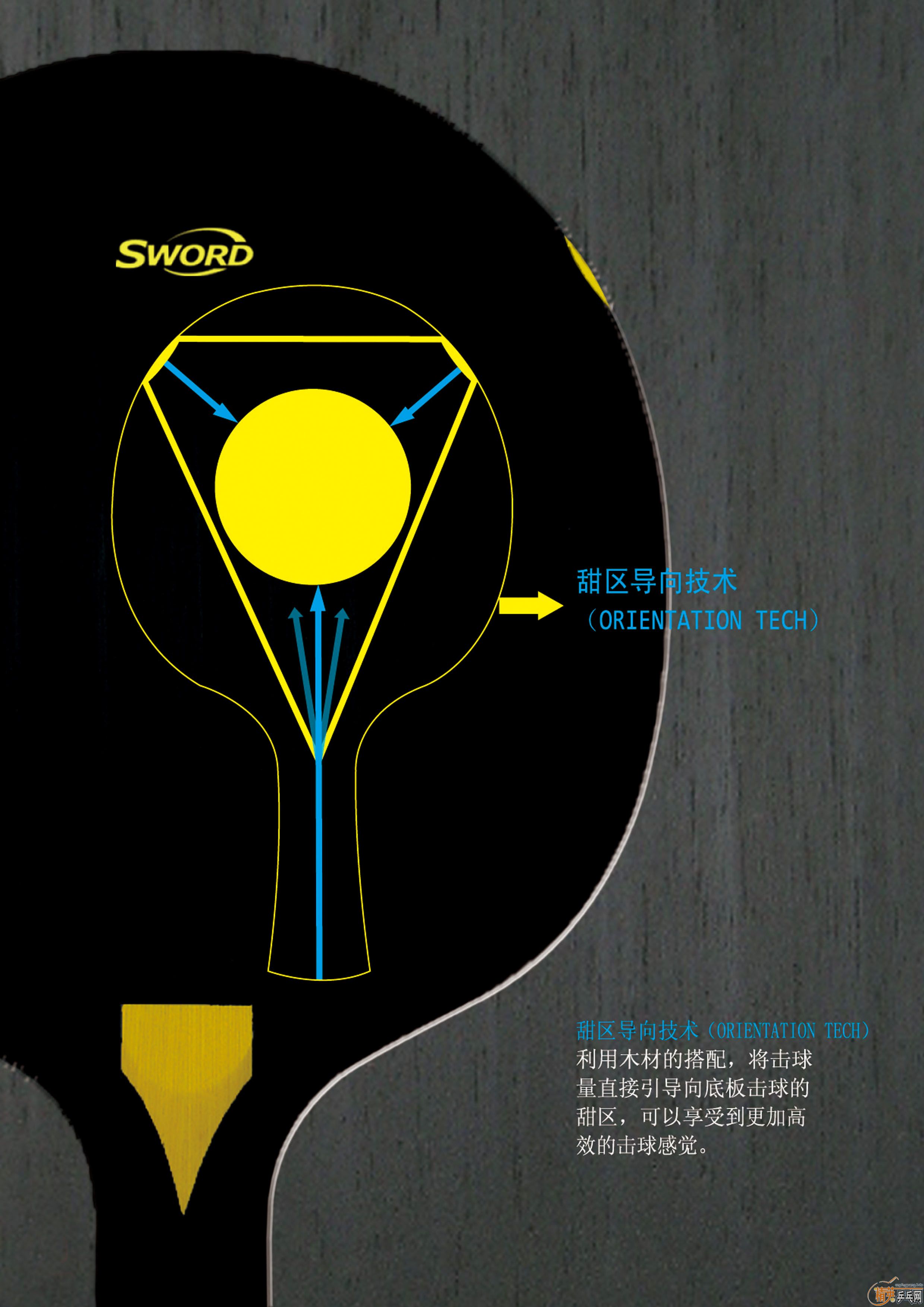 2011µά--ݮ--