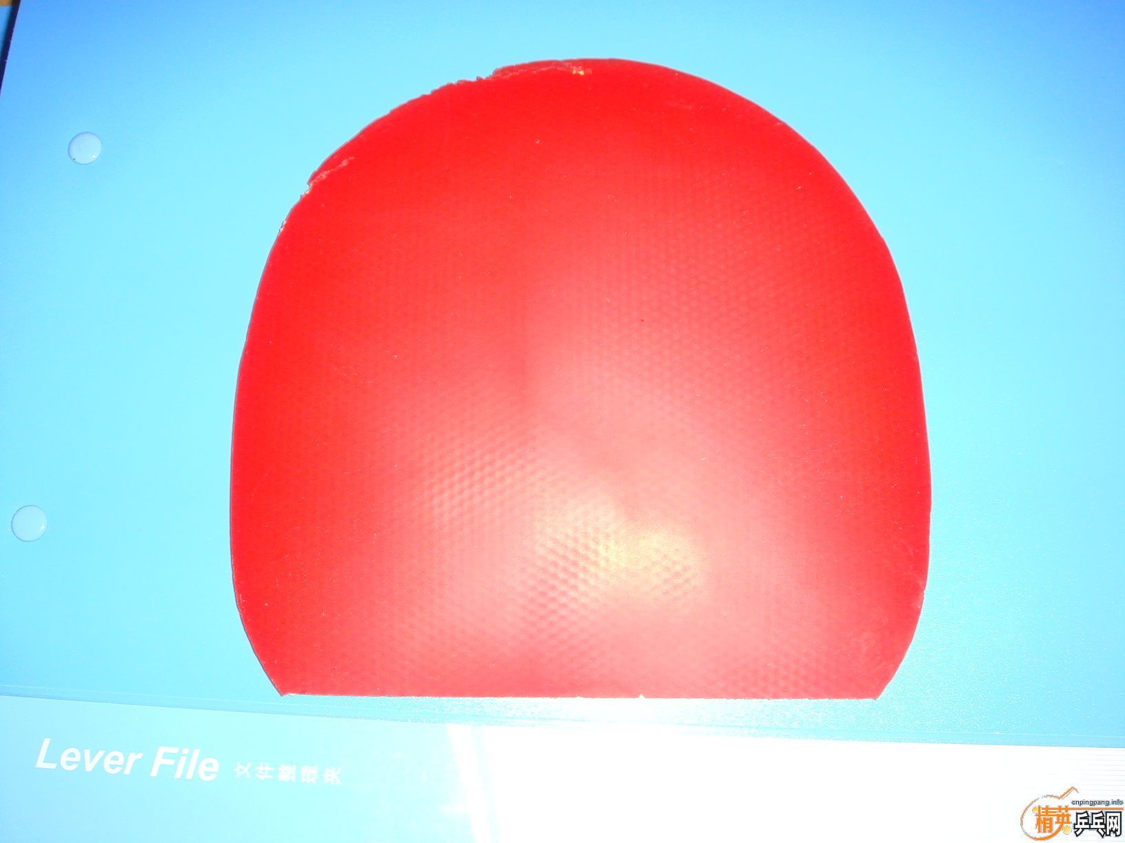 �������ڹ���ʡ��+����EL+�ʷ�=60Ԫ