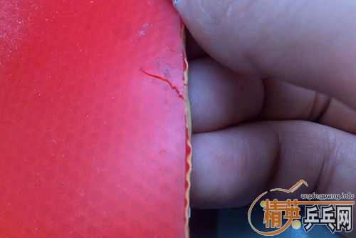 ������ͼ��Ԥ�����ƿ�����280�����㻦��ݣ�˳�����׽���el,jo,neo��ȵȡ�����