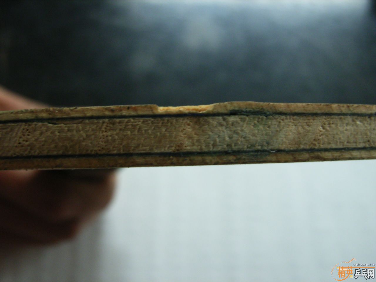 �����ѳ��������̼���°�