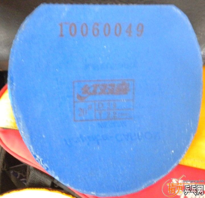 ʡʡF1