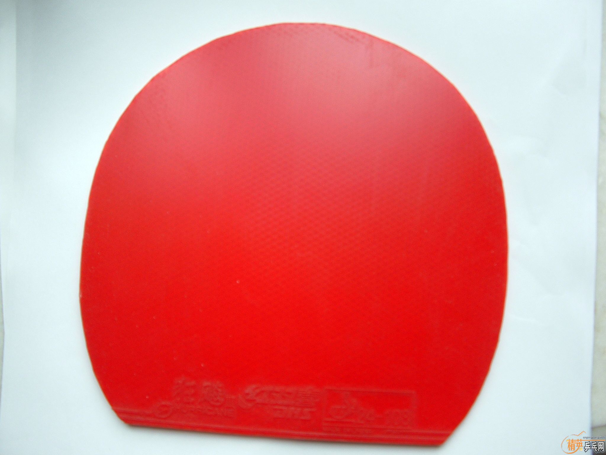 ������ʡ��80�����