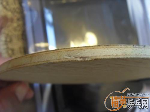 ���ѳ��壺������ TREMENDOUS�����Ž�Ƥ