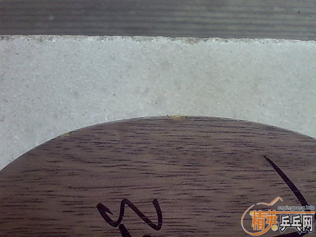 stˮeg.Ʊocˮoc.ľfl07