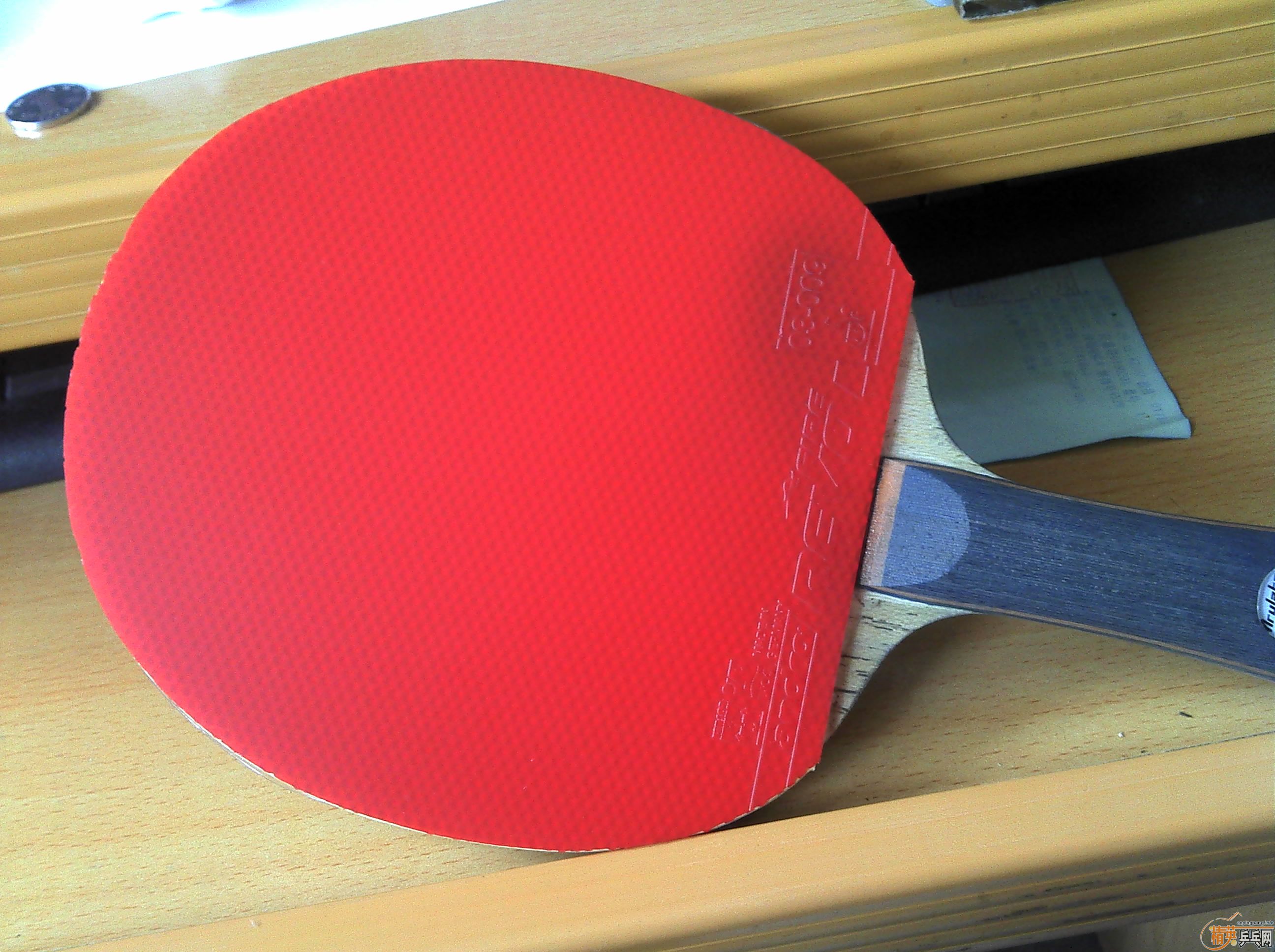 ����ö��������׺��׵�XIOM ŷ����4�Ͱ��ȵĸ���֮��