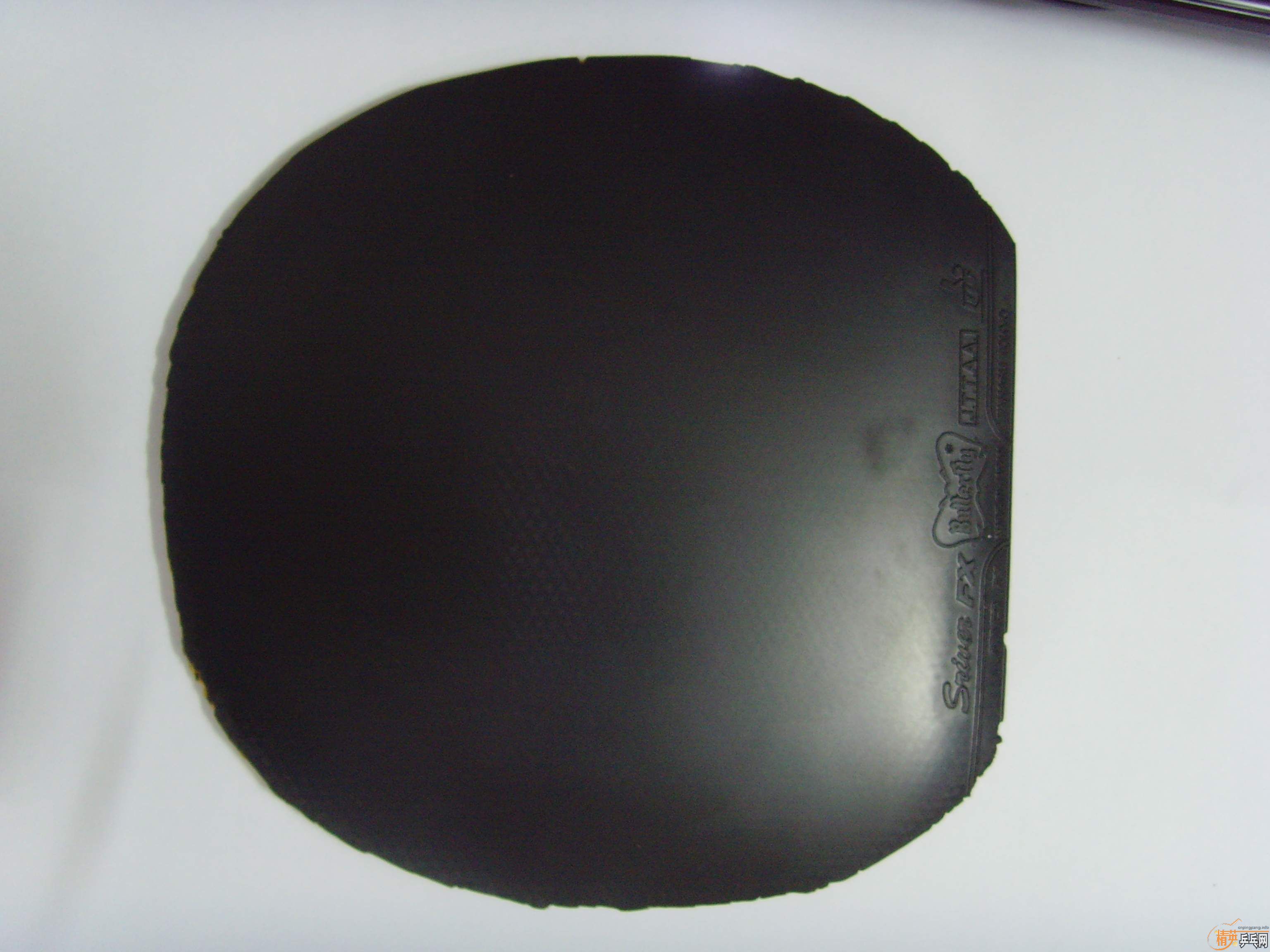 ��S1��FX���տ���