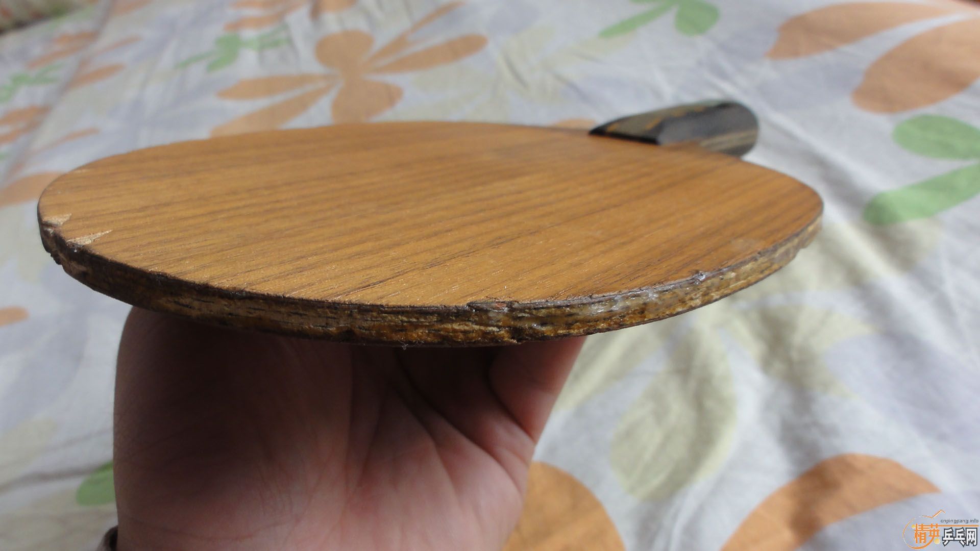 ��һ¥֧�������ӣ�ֱ�ӽ���500�����롿550������������װ壨ydm17���У�ϸʵoccr������һ��װ壨��ͼ����