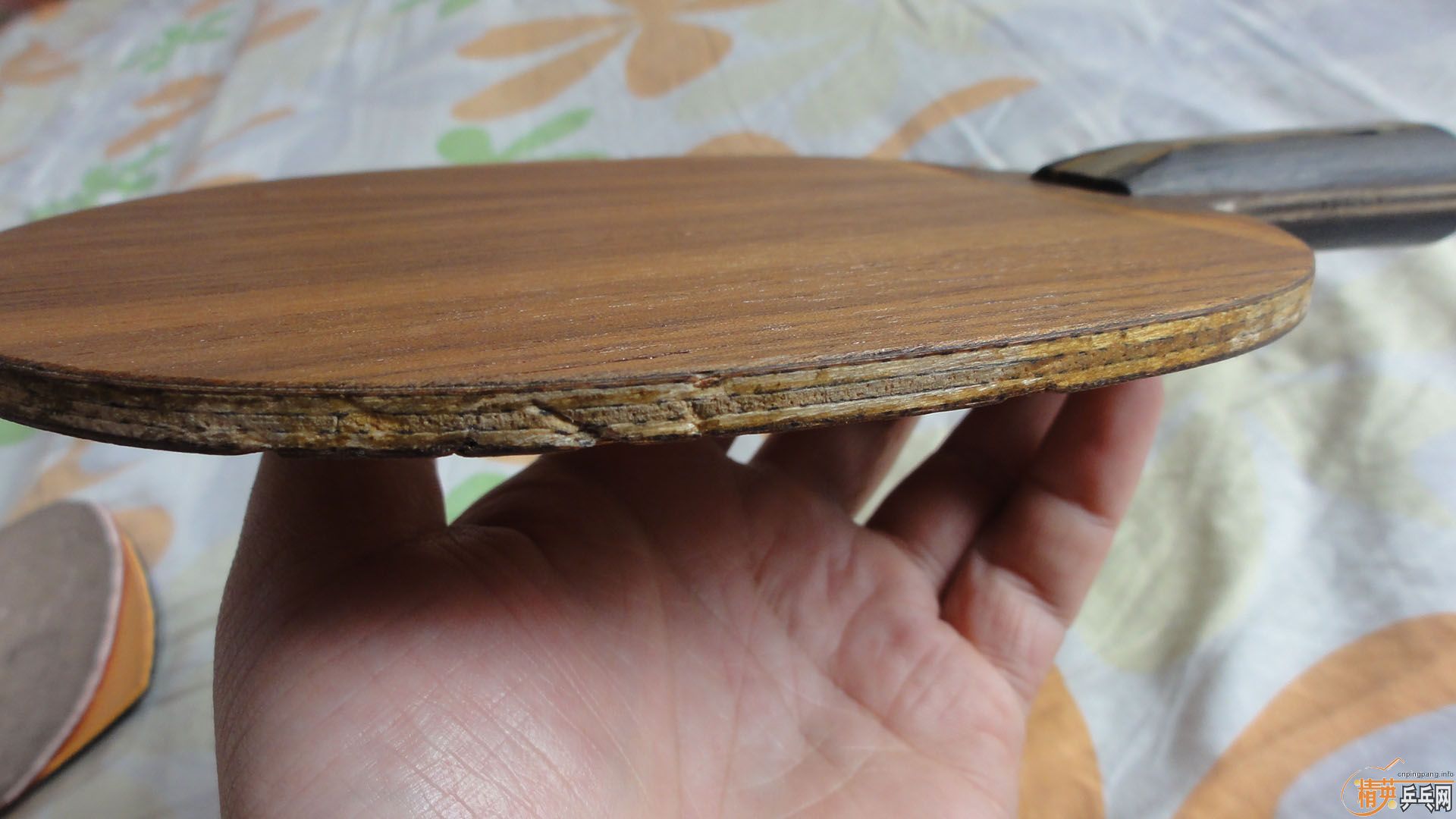 ��һ¥֧�������ӣ�ֱ�ӽ���500�����롿550������������װ壨ydm17���У�ϸʵoccr������һ��װ壨��ͼ����