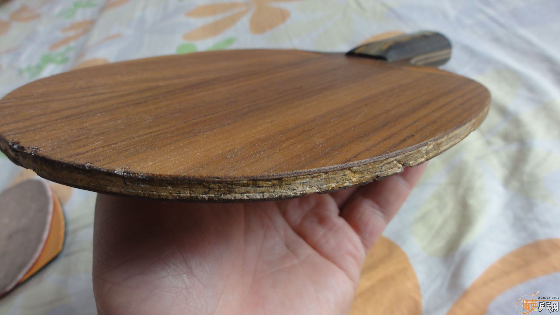 ��һ¥֧�������ӣ�ֱ�ӽ���500�����롿550������������װ壨ydm17���У�ϸʵoccr������һ��װ壨��ͼ����