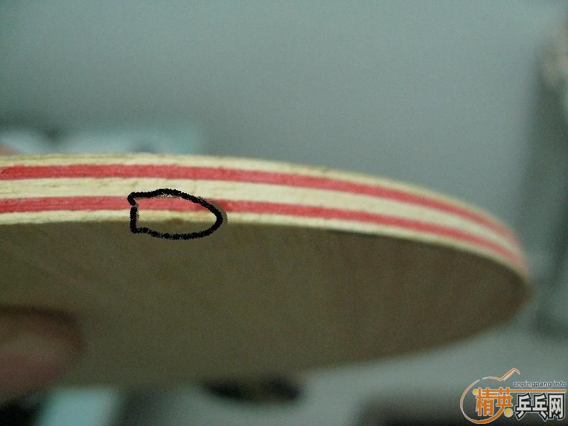 �����CL���ϻƵģ�����������