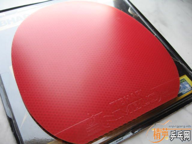 ������VIP������F1����ɫ���ǳ��£��۸����֧꣡������