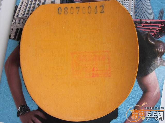 ��stiga eg,����viva��ͦ��Blaszczyk��yasaka yes������һЩ��Ƥ��ʡ��fx�����ˣ���ͣ����񣬳���һŵ���ȵȣ�